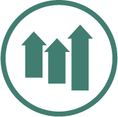 Icon Invest Flex